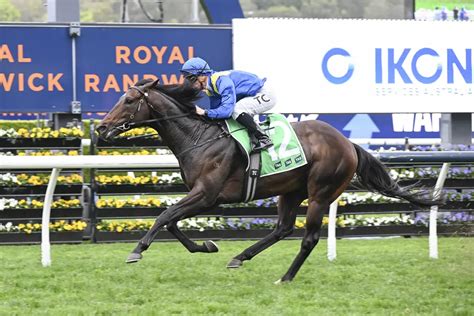 tramway stakes